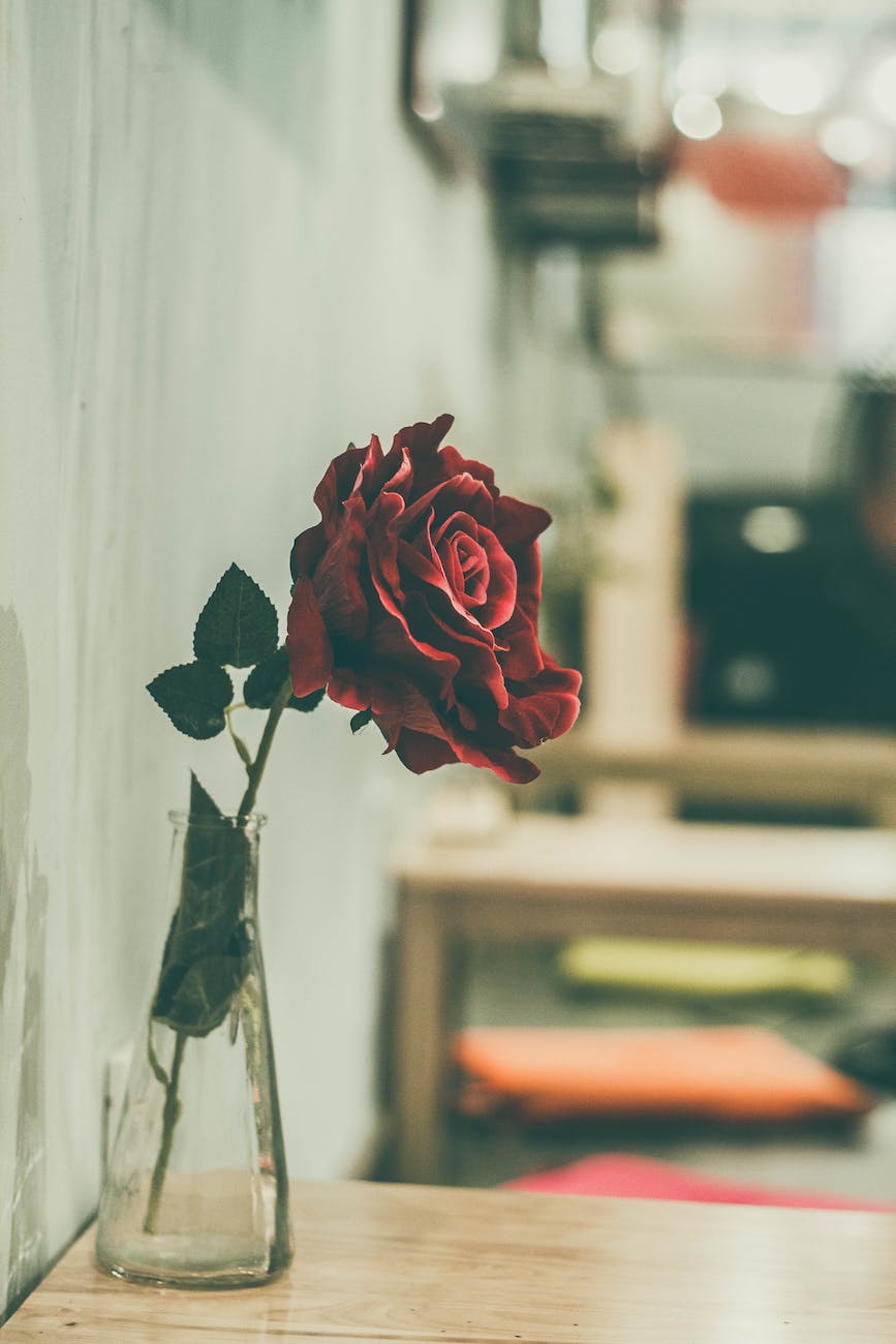 red rose on clear glass vase