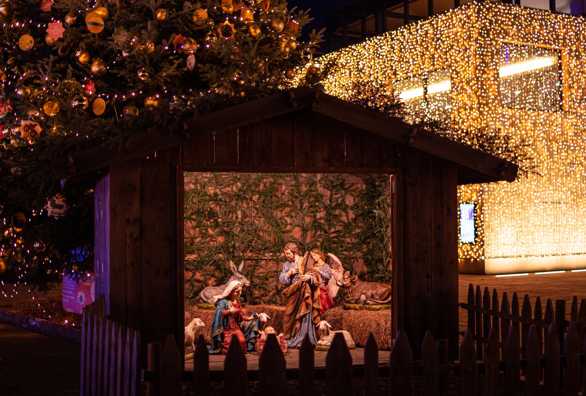 the nativity with wooden fence near christmas lights